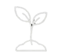 sapling